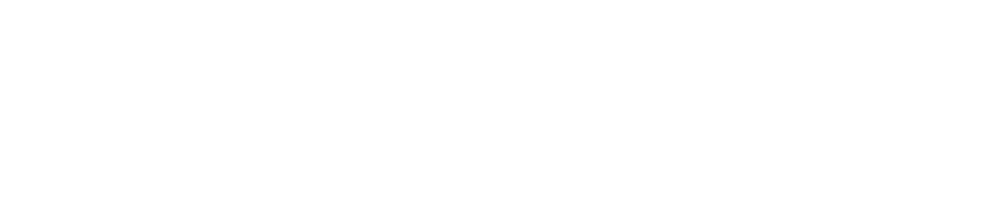 Resenha